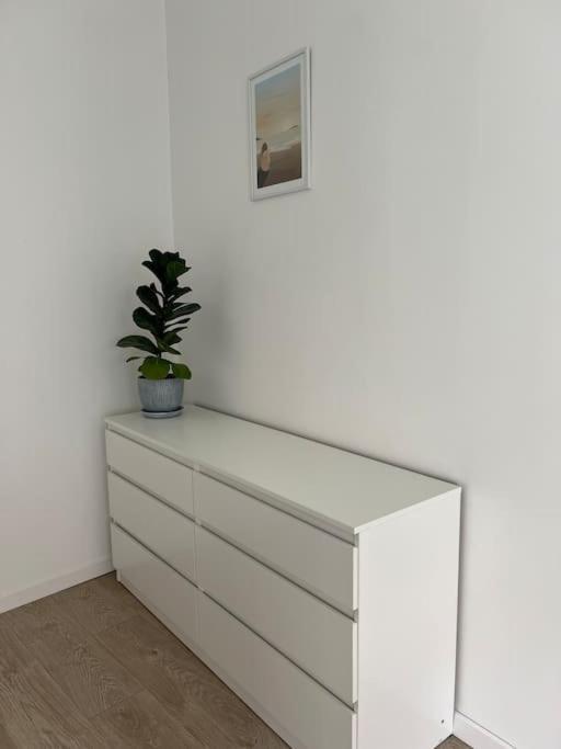 Lwowska 10 Residence, Rodzinny Apart 克拉科夫 外观 照片